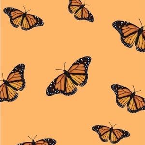 Make an offer! Everything must go!